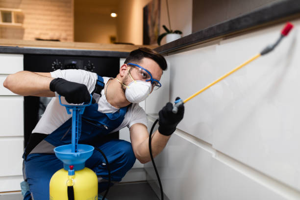 Pest Prevention Services in Rutherford, PA