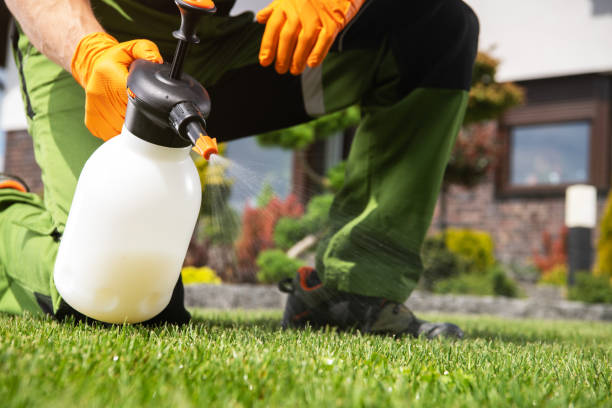Best Bed Bug Extermination  in Rutherford, PA