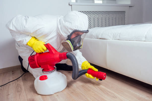 Best Wasp Removal Services  in Rutherford, PA