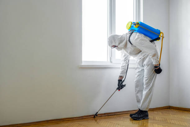 Best Exterminator Services  in Rutherford, PA
