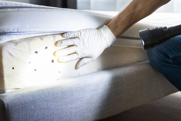 Best Exterminator Services  in Rutherford, PA