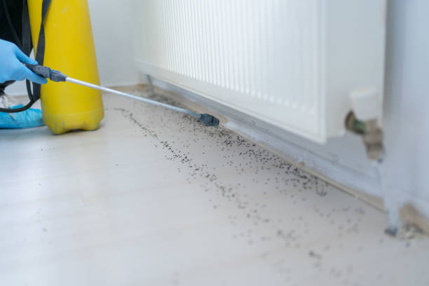 Best Pest Control Cost  in Rutherford, PA